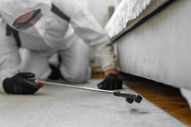 Professional Pest Control technician working in Grayson County County, VA